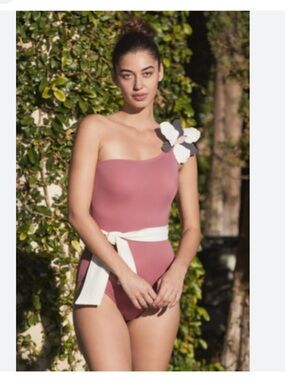 Hermoza NWT color is gray 10 one piece push up high waisted